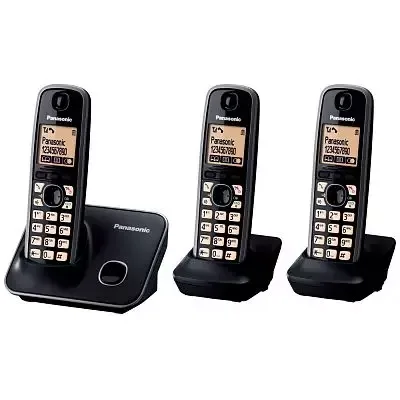 Panasonic KX-TG6613 #1