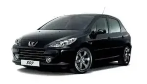Peugeot 307 (2007) #1