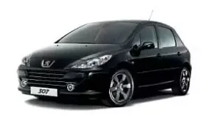 Peugeot 307 (2008) #1