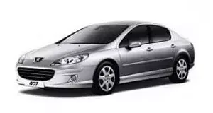 Peugeot 407 (2007) #1